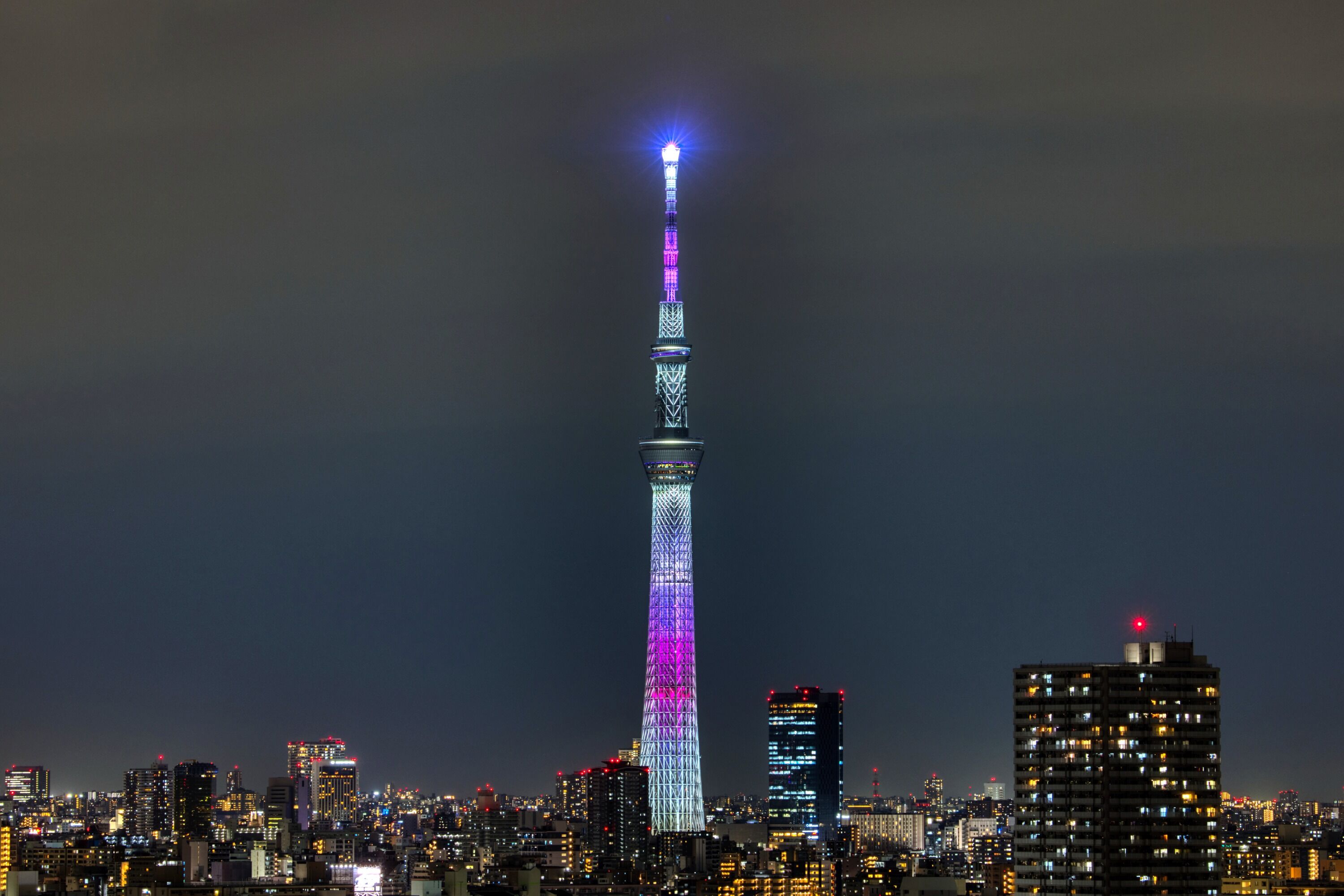 世界一高い桜 舞 22年3月3日 東京スカイツリー定点観測所