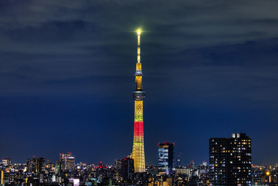 ディズニー創立100周年 プー