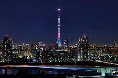 anniversary ~みんなの願いが叶いますように~