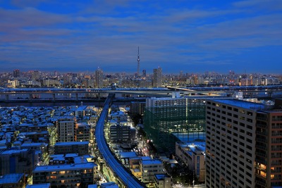 東京スカイツリーと雪化粧した街