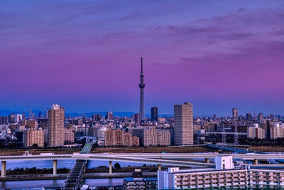ピンク色の朝焼けと東京スカイツリー
