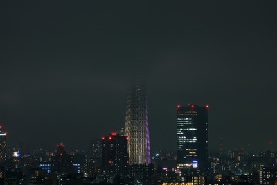 東京スカイツリー夜景「雅」