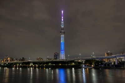 毛利蘭をイメージした特別ライティング