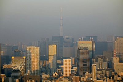 渋谷スカイから見た東京スカイツリー