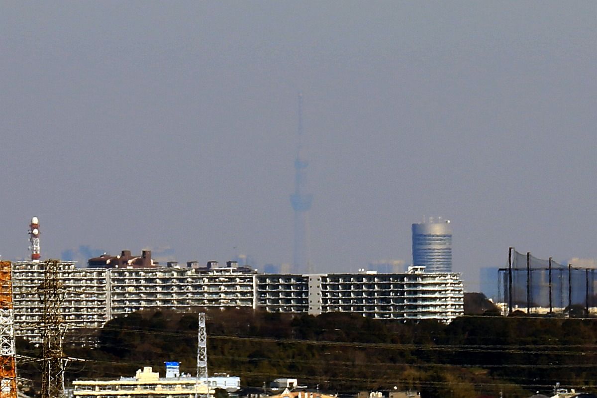 横浜薬科大学図書館棟 21階展望ラウンジから見た東京スカイツリー 東京スカイツリー定点観測所