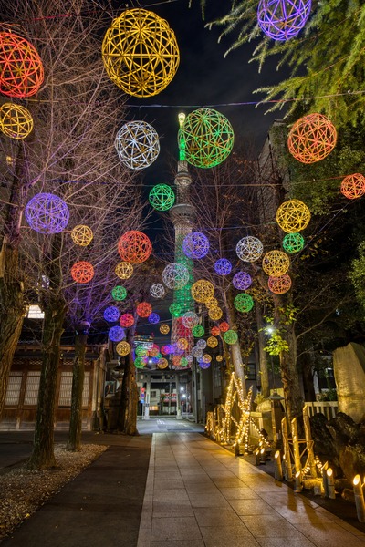 クリスマス特別ライティング「オーナメントツリー」