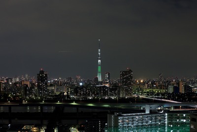 ホワイトツリー