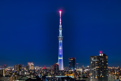 僕のヒーローアカデミア特別ライティング 轟焦凍