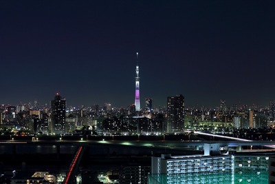 東京スカイツリー夜景「舞」