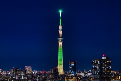 シャンパンツリー