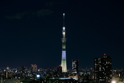 東京スカイツリー明花のゆり