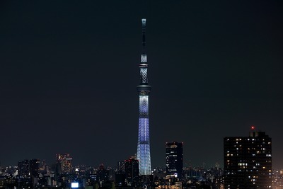 東京スカイツリー夜景「咲」