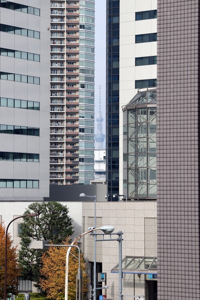 東京隙間ツリー