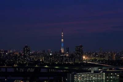 東京スカイツリー夜景「粋」
