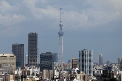 練馬区役所から見た東京スカイツリー