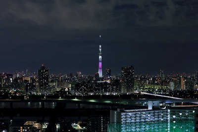 東京スカイツリー夜景「舞」