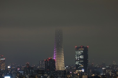 東京スカイツリー「雅」
