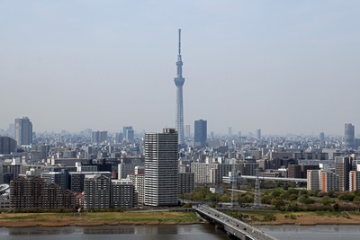 船堀タワーから見た東京スカイツリー