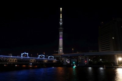 うさぎをイメージしたライティング