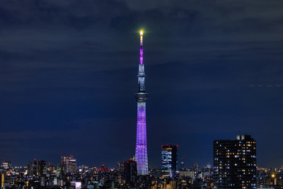 ディズニー創立100周年 ウィッシュ