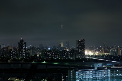 東京スカイツリー夜景「明花」