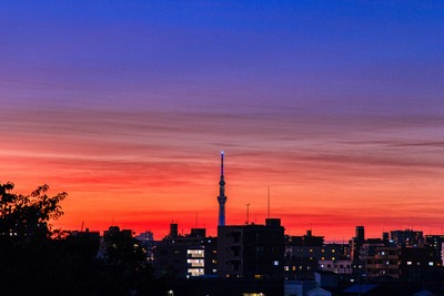 なぎさ公園から見た夕焼けと東京スカイツリー