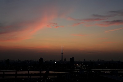 東京スカイツリーのある夕景
