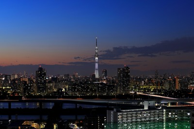 東京スカイツリー夕景