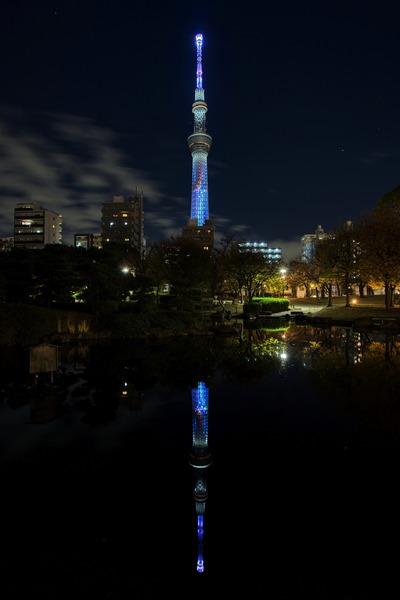 Nizi（虹）をイメージした特別ライティング