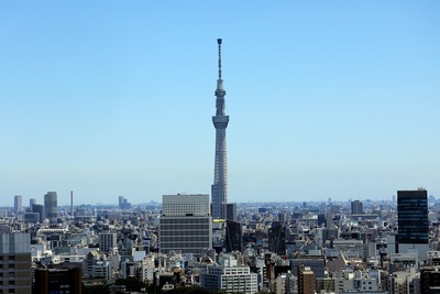 文京シビックセンターから見た東京スカイツリー