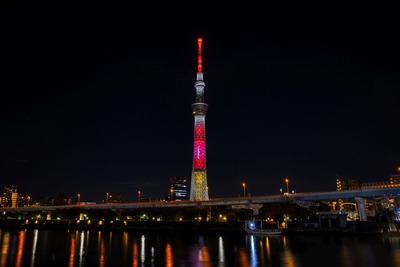 ディズニー創立100周年 ミッキーマウス