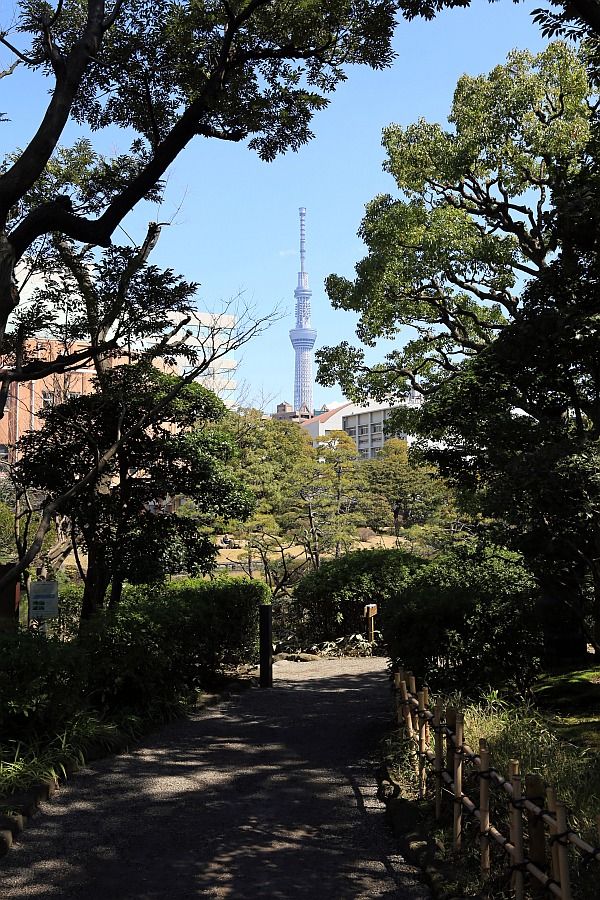 2012 3 25                    :       