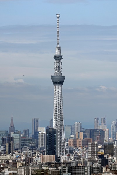 アイ・リンクタウン展望施設から見た東京スカイツリー