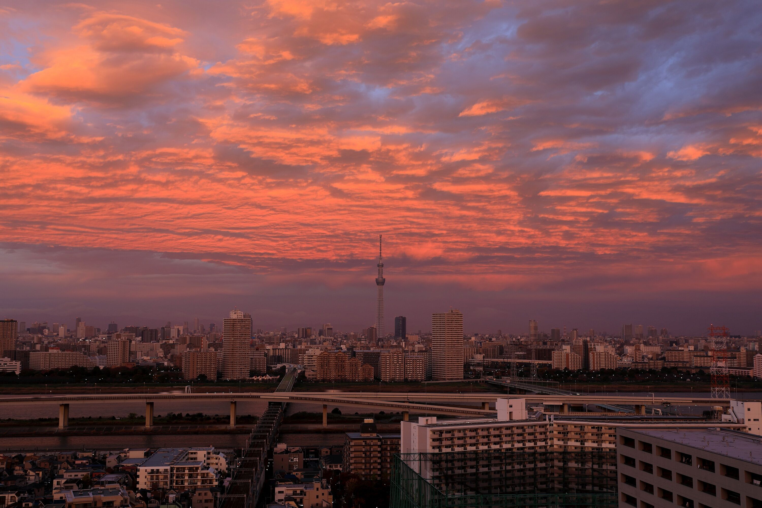 豪快な朝焼けと東京スカイツリー 年11月日 東京スカイツリー定点観測所 豪快な朝焼けと東京スカイツリー 年11月日 東京スカイツリー定点観測所