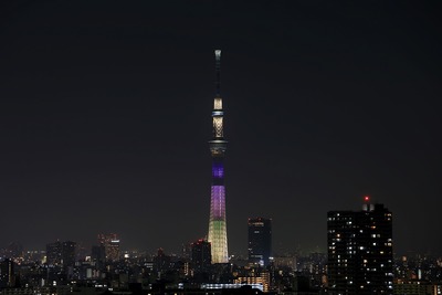 ラベンダー