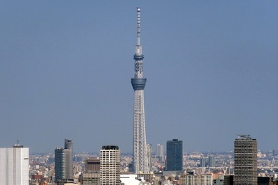 世界貿易センターから見た東京スカイツリー