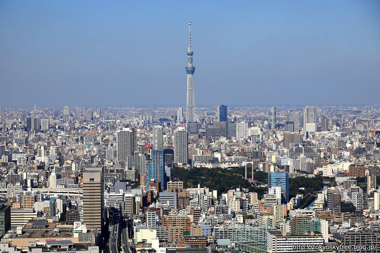東京スカイツリーを遠方から空撮 16年10月15日 東京スカイツリー定点観測所