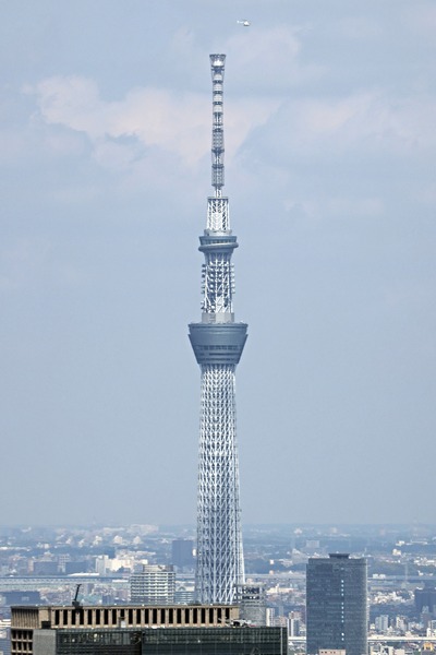 東京タワーから見た東京スカイツリー