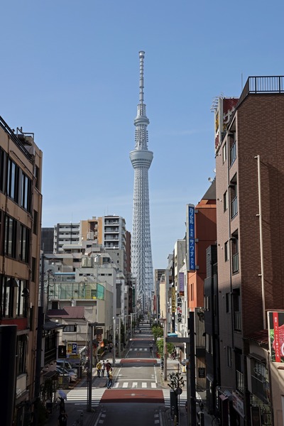 タワービュー通りから見た東京スカイツリー