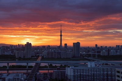東京スカイツリー夕景