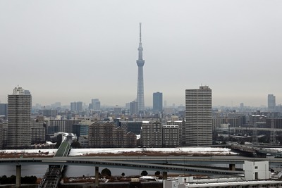 雪化粧した街と東京スカイツリー