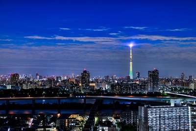 東京スカイツリー特別ライティング「向日葵」