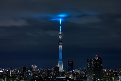 東京スカイツリー夜景「粋」