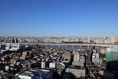 富士山から東京スカイツリーまで