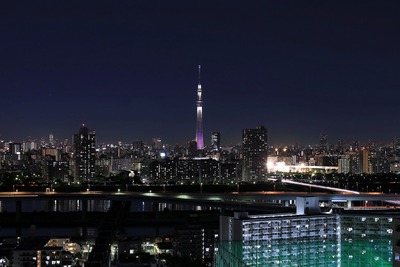 東京スカイツリー夜景「雅」