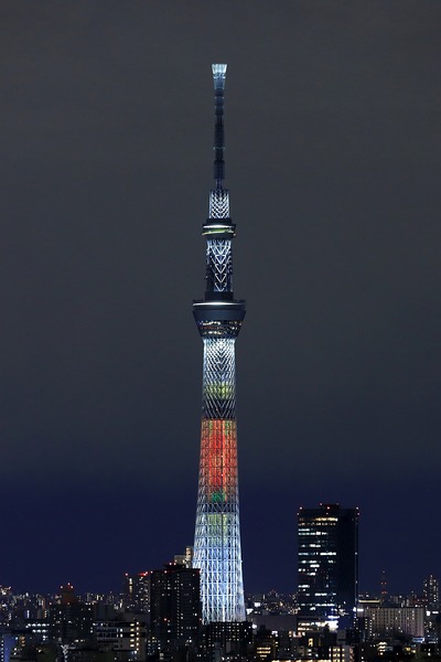 東京スカイツリー「和食の日」ライティング「ちらし寿司」