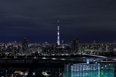 東京スカイツリー夜景「咲」