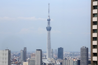 世界貿易センターから見た東京スカイツリー