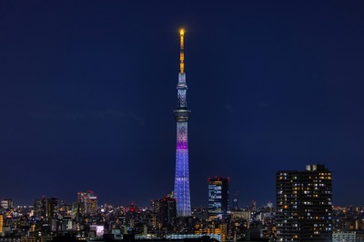 ラッコをイメージしたライティング