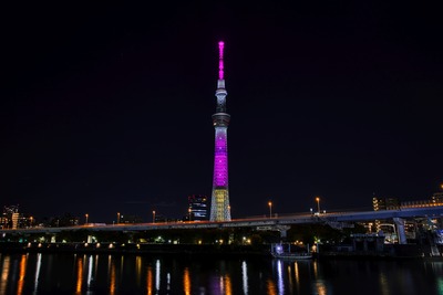 ディズニー創立100周年 ミニーマウス